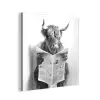 Schotse Hooglander - Dier - Krant - WC aluminium wit klein -3d