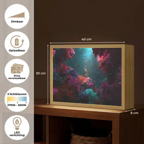 Standbeeld - Zeebodem - Koraal - Kleurrijk Light Box met batterij (Wandlamp) middel -USP_websiteoverzichtNL