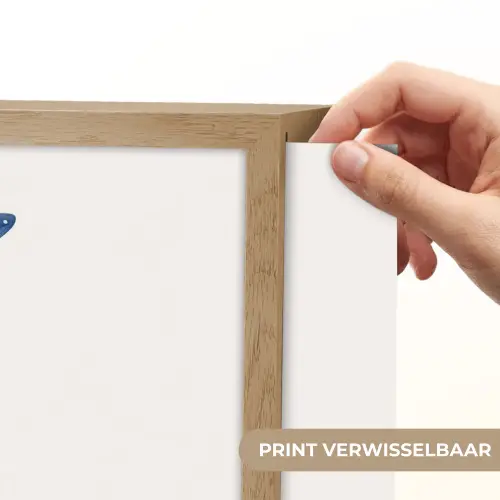 Zeester - Schelpen - Blauw Light Box met batterij (Wandlamp) middel -USP_websiteprintNL