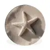 Strand - Zeester - Zand - Beige Wandcirkel aluminium klein -3d