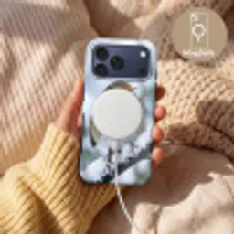 Roodborstje - Tak - Sneeuw - Winter - Levendig Toughcase MagSafe Apple iPhone 17 Pro Max klein -USP_MagsafeV