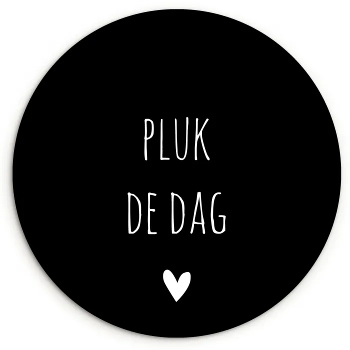 Carpe diem - Spreuken - Pluk de dag - Quotes Wandcirkel kunststof plaat 5mm dik klein -3d