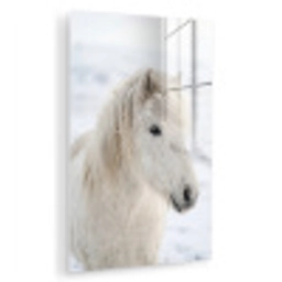 Paard - Kop - Winter - Dieren - Wit plexiglas 5mm klein -zzzproduct_nieuw