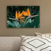 Paradijsvogel - Bloem - Exotisch canvas 2cm klein -sfeer3