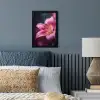 Roze - lelie - Dauwdruppels fotolijst zwart zonder passe partout klein -sfeer3