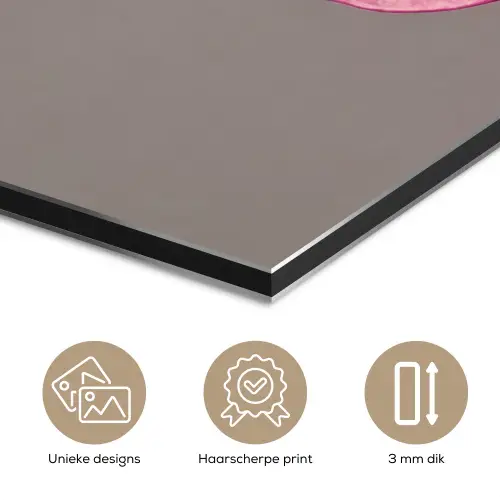 Planten - Anthurium - Groen - Roze aluminium wit klein -closeup_NL