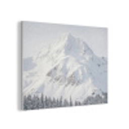 Berg - Sneeuw - Winter - Natuur - Wit PET vilt klein -3d