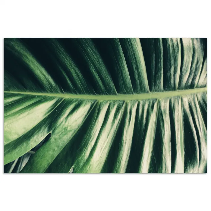 Bladeren - Tropisch - Jungle poster papier klein -3d