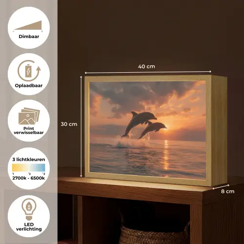 Dolfijnen - Zee - Realistisch Light Box met batterij (Wandlamp) middel -USP_websiteoverzichtNL