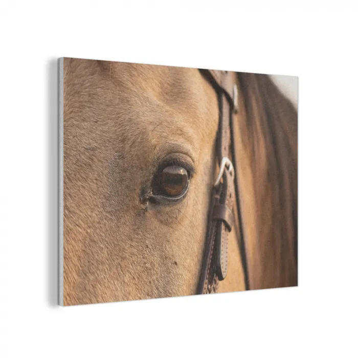 Paard - Oog - Bruin PET vilt klein -3d