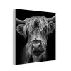 Schotse Hooglander - Horens - Zwart - Wit - Koe - Wild - Dieren aluminium wit klein -3d