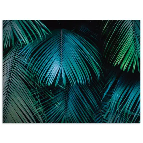 Inductie beschermer - Inductie afdekplaat - Tropical - Jungle - Bladeren - Groen poster papier klein -3d