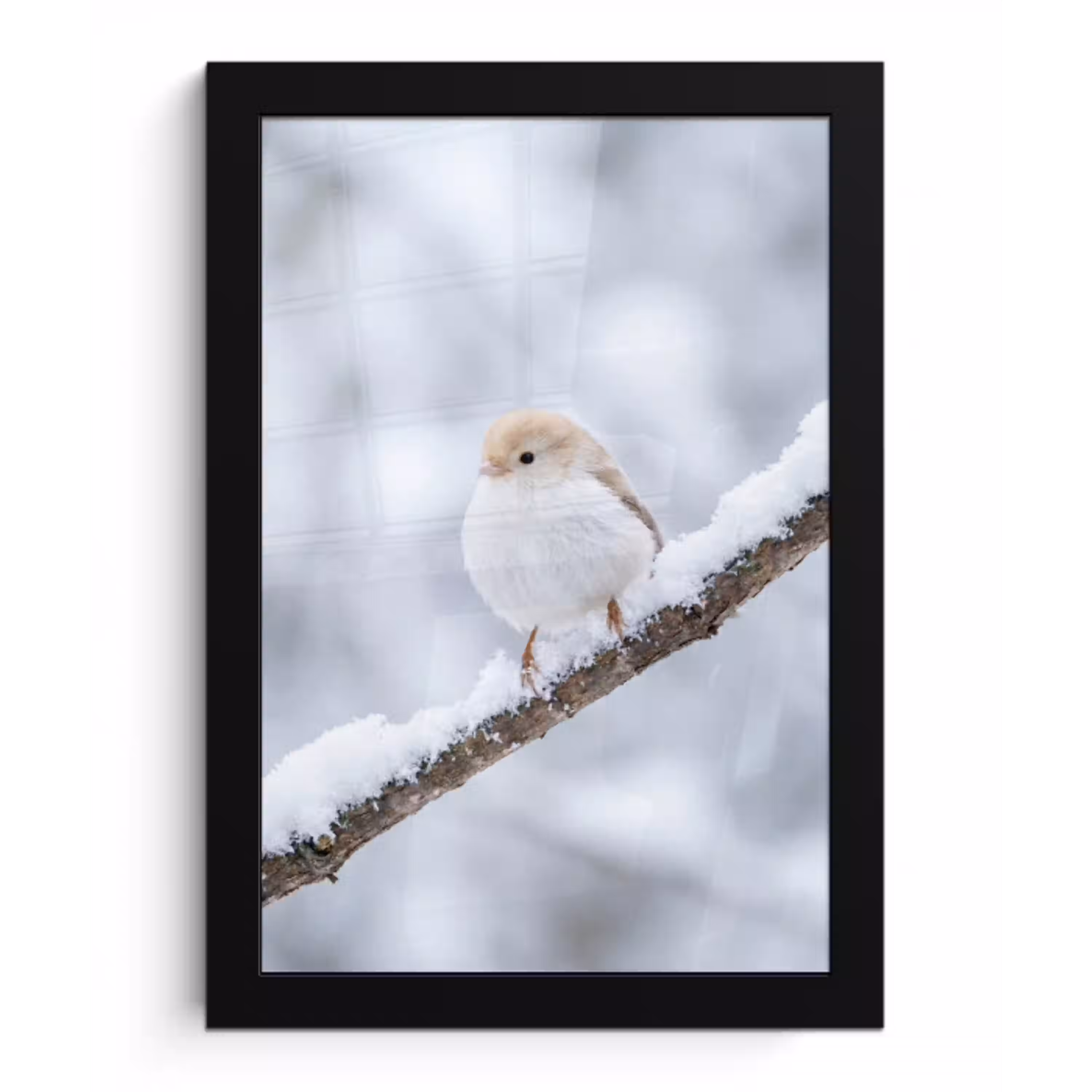 Vogeltje - Sneeuw - Tak - Winter - Zacht fotolijst zwart zonder passe partout klein -3d