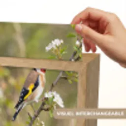 Putter - Bloesem - Lente - Natuur - Kleurrijk Light Box met kabel (Kinderlampje) klein -USP_websiteprintFR