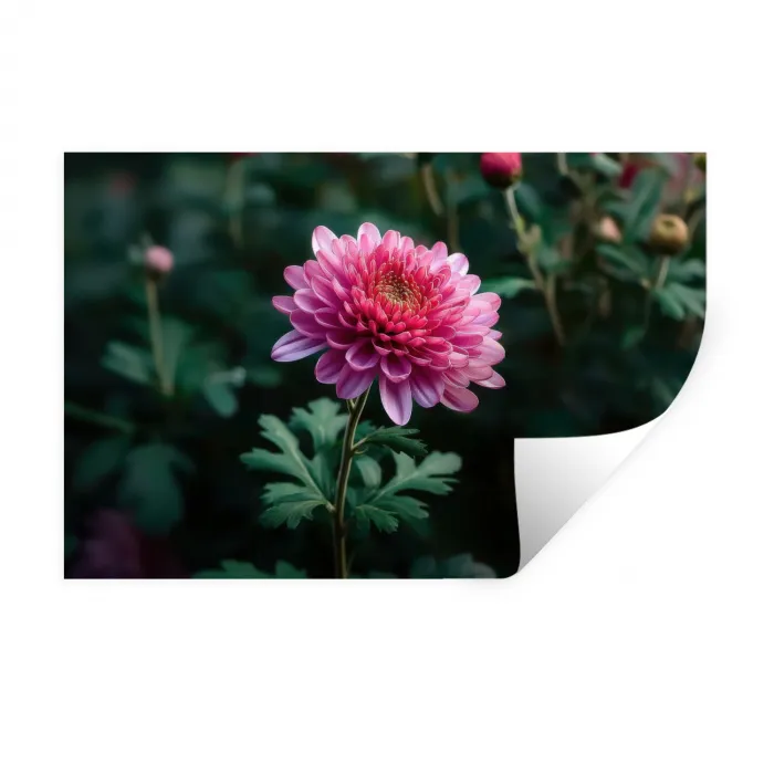 Blad - Chrysant - Roze - Schaduw Muursticker klein -3d