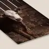 Kalf - Oormerk - Houten stal fotolijst zwart zonder passe partout klein -zsfeer6