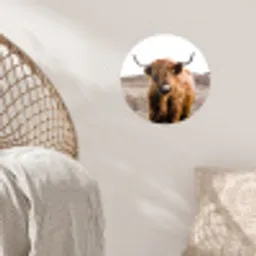 Schotse hooglander - Landschap - Koe - Bruin - Dieren - Natuur Wandcirkel behangsticker klein -sfeer4