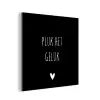 Quote - Spreuken - Pluk het geluk aluminium wit klein -3d