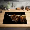 Schotse Hooglander - Horens - Zwart - Dieren - Natuur - Wild - Koe Inductie beschermer vinyl 3mm klein -sfeer5