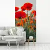 Klaproos - Bloemen - Wilde bloemen fotobehang vinyl groot -woonkamer