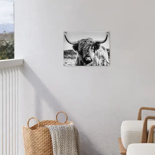 Koe - Schotse hooglander - Zwart - Wit - Dier - Natuur - Wild tuinposter los doek klein -sfeer8