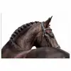 Portret - Paard - Elegant poster papier klein -3d
