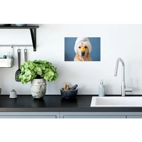 Hond - Badeend - Geel Muursticker klein -keuken