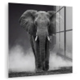 Olifant - Zwart - Wit - Rook plexiglas 5mm klein -zzzproduct_nieuw