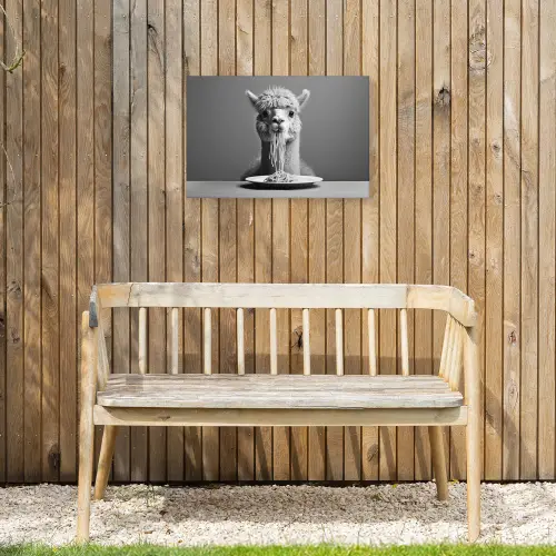 Alpaca - Pasta - Zwart - Wit - Grappig - Dieren Tuinposter op houten frame 2 cm dik klein -sfeer4