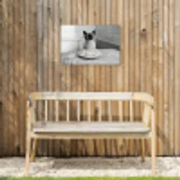 Kat - Siamees - Zwart Wit - Schattig - Dieren Tuinposter op houten frame 2 cm dik klein -sfeer4