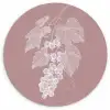Tros - Druiven - Illustratie - Bladeren Wandcirkel plexiglas klein -3d