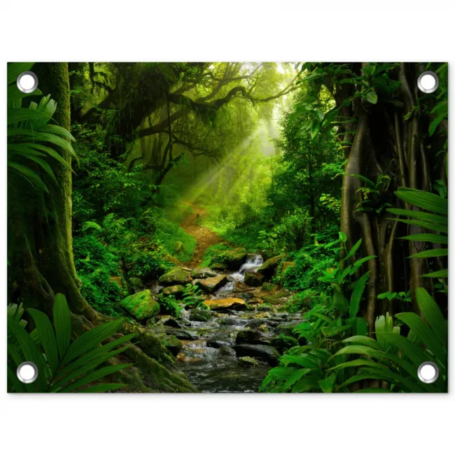 Zonnige Stralen in het Regenwoud tuinposter los doek klein -3d