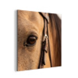 Paard - Oog - Bruin aluminium wit klein -3d