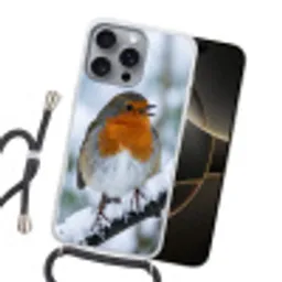 Roodborstje - Tak - Sneeuw - Winter - Levendig Hoesje iPhone 16 Pro Max met koord klein -sfeer1