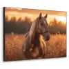 Paard - Natuur - Dier - Bruin - Dieren portret Textielframe zwart klein -3d