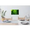 Grassprieten - Lichtinval - Groen Muursticker klein -eettafel