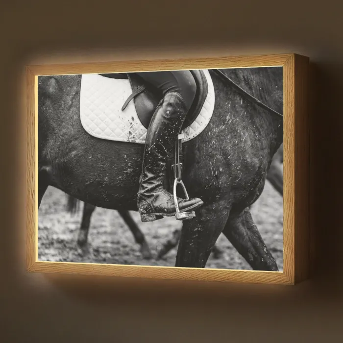 Paard - Sport - Zwart - Wit Light Box met batterij (Wandlamp) middel -z3d_website