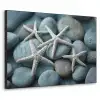 Zeesterren - Stenen - Wit Textielframe zwart klein -3d
