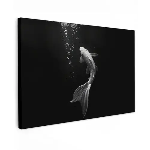 Koi - Vis - Wit - Zwart canvas 2cm klein -z3d