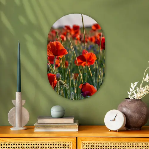 Bloemen - Klaprozen - Natuur - Rood Wandcirkel Ovaal Forex klein -sfeer2