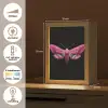Vlinder - Roze - Nachtvlinder Light Box met kabel (Tafellamp) klein -USP_NL