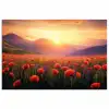 Landschap - Zonsondergang - Bloemenveld poster papier klein -3d