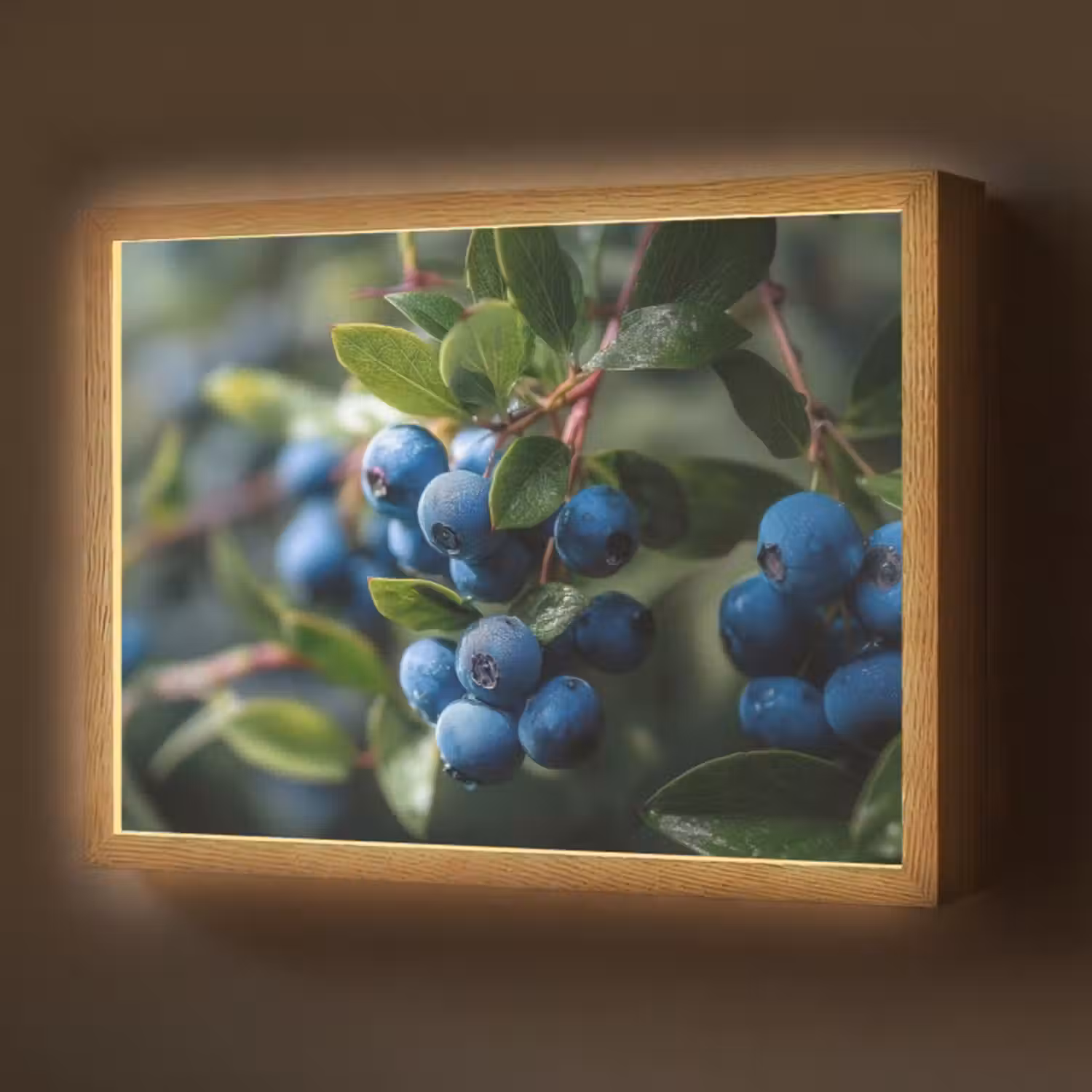 Lightbox - Wandlamp - Blauwe bessen - Dauwdruppels - Natuurlijk licht