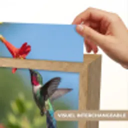 Kolibrie - Bloem - Natuur - Groen Light Box met kabel (Kinderlampje) klein -USP_websiteprintFR