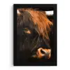 Schotse hooglander - Zwart - Koe - Hoorn - Dieren fotolijst zwart zonder passe partout klein -3d
