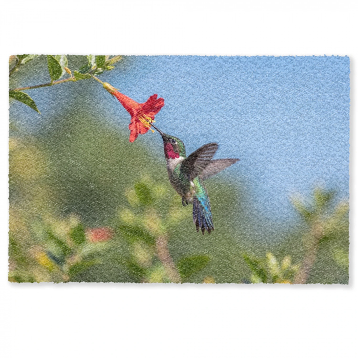 Kolibrie - Bloem - Natuur - Groen Deurmat klein -zkaufland3d