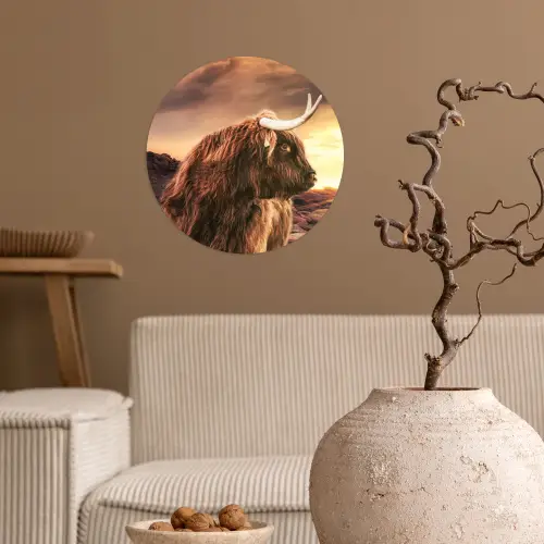 Schotse hooglander - Zon - Horizon - Koe - Dieren Wandcirkel behangsticker klein -sfeer1