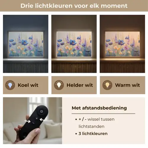 Zomers - Wilde bloemen - Penseelstreken Light Box met batterij (Wandlamp) middel -USP_lichtkleurNL