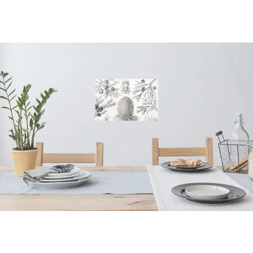 Tuinposter zwart wit - Ernst Haeckel - Kunst - Retro - Tuin Muursticker klein -eettafel