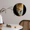 Luipaard - Dieren - Portret - Wilde dieren - Zwart Wandcirkel behangsticker klein -sfeer3